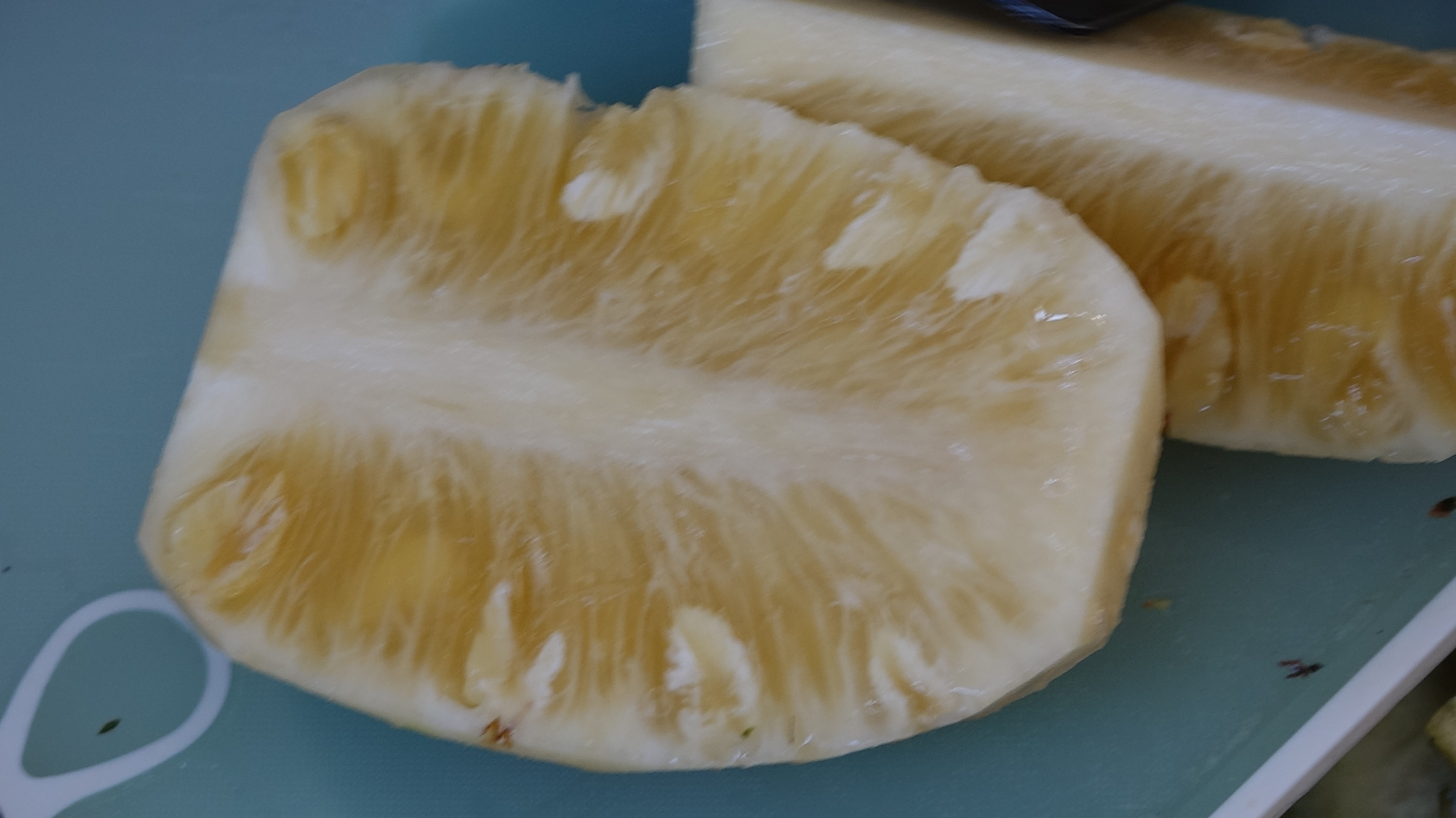 云霄菠萝产业调研影像 33