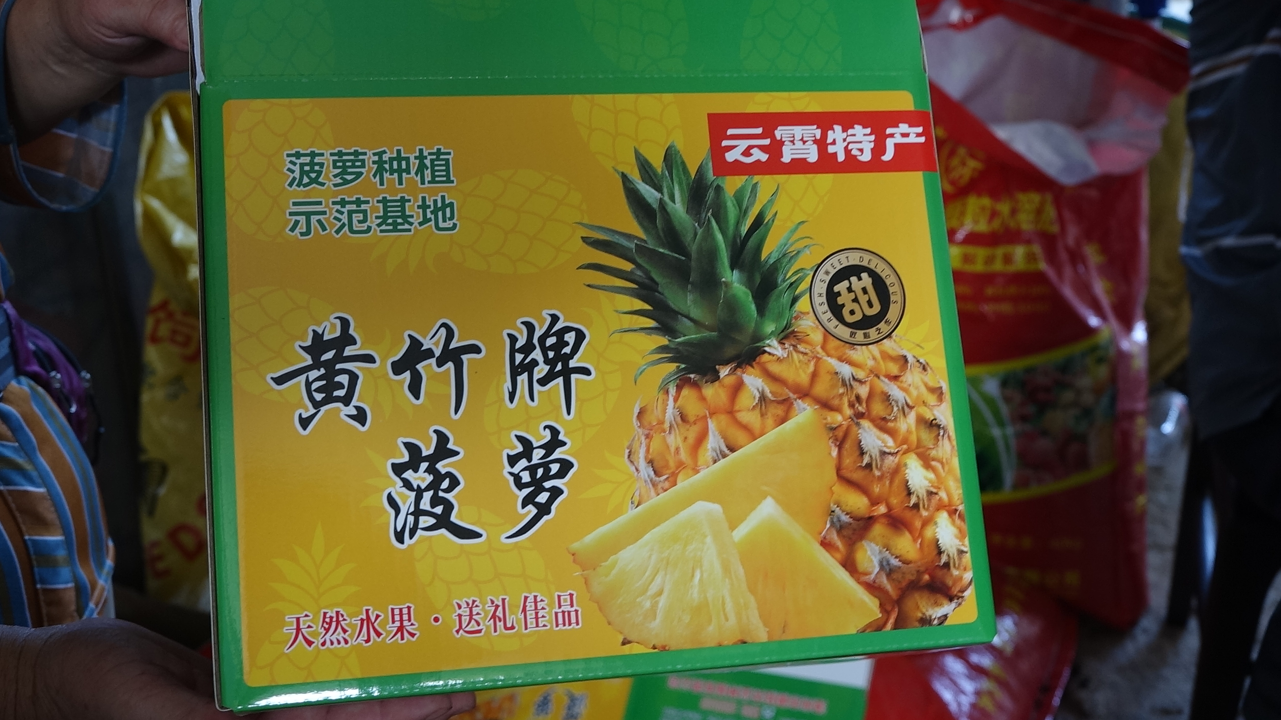 云霄菠萝产业调研影像 37