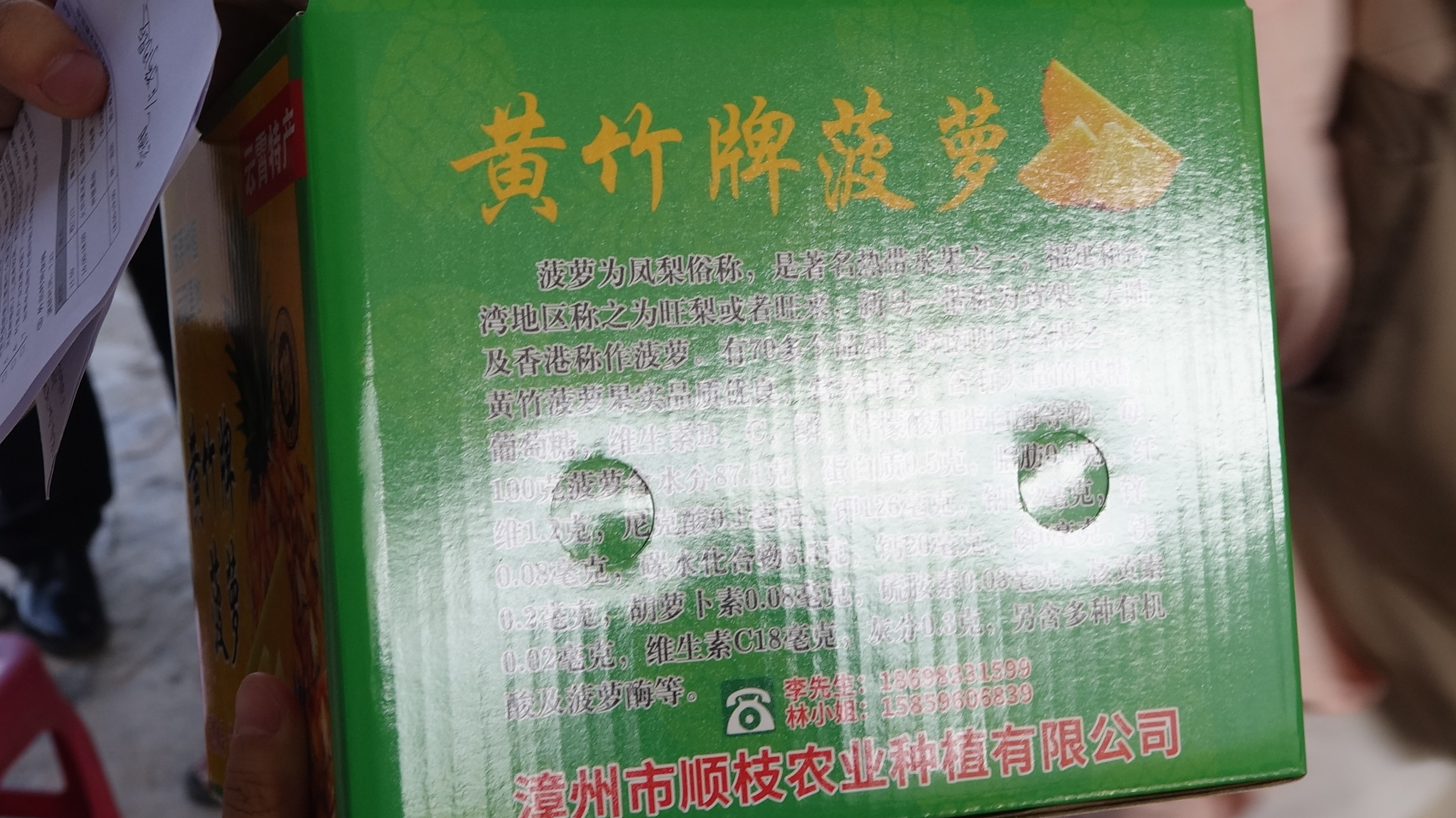 云霄菠萝产业调研影像 40